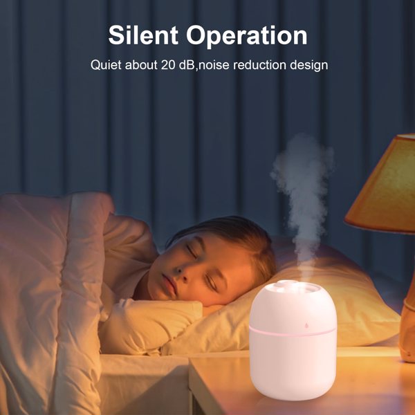 Portable mini humidifier