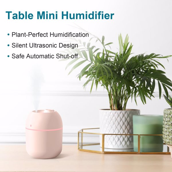 Portable mini humidifier