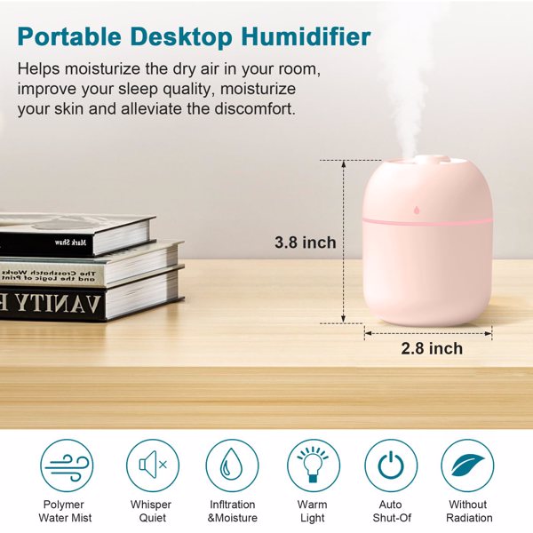 Portable mini humidifier