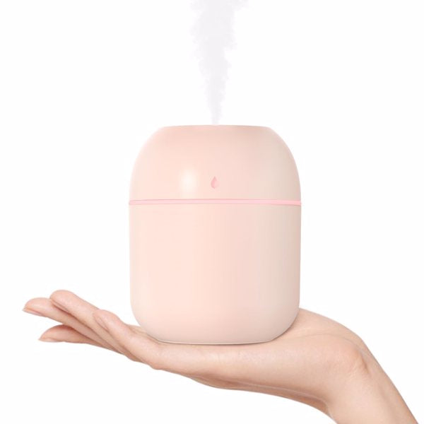 Portable mini humidifier