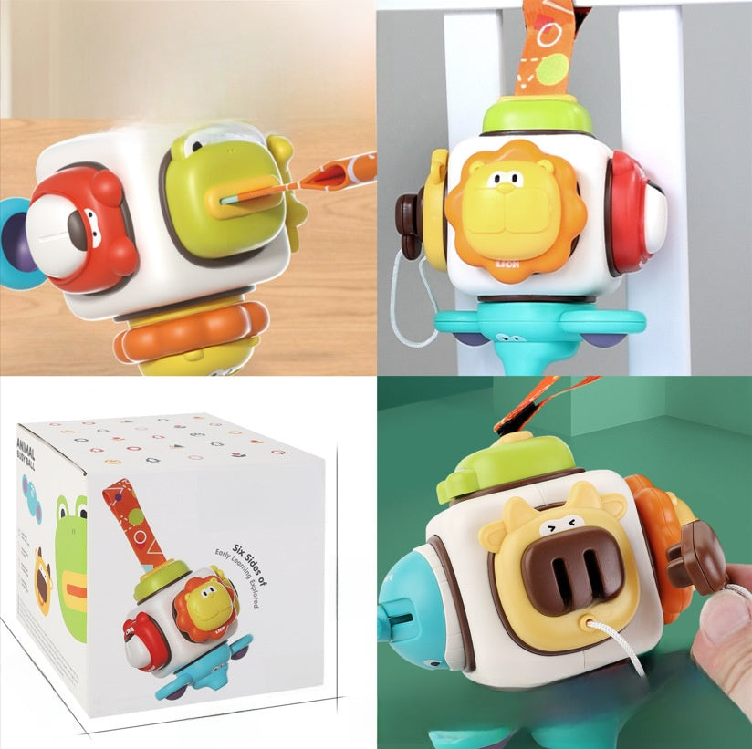 Educational Toy Cube