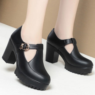 Women's Pointed Toe Buckle Strap High Heel Shoes