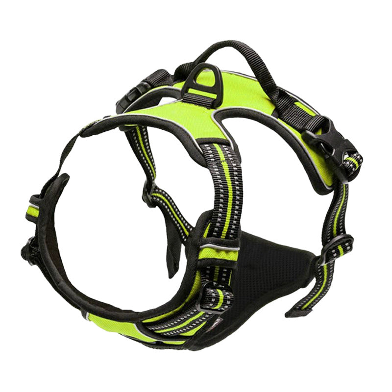 Pet Harness Leash