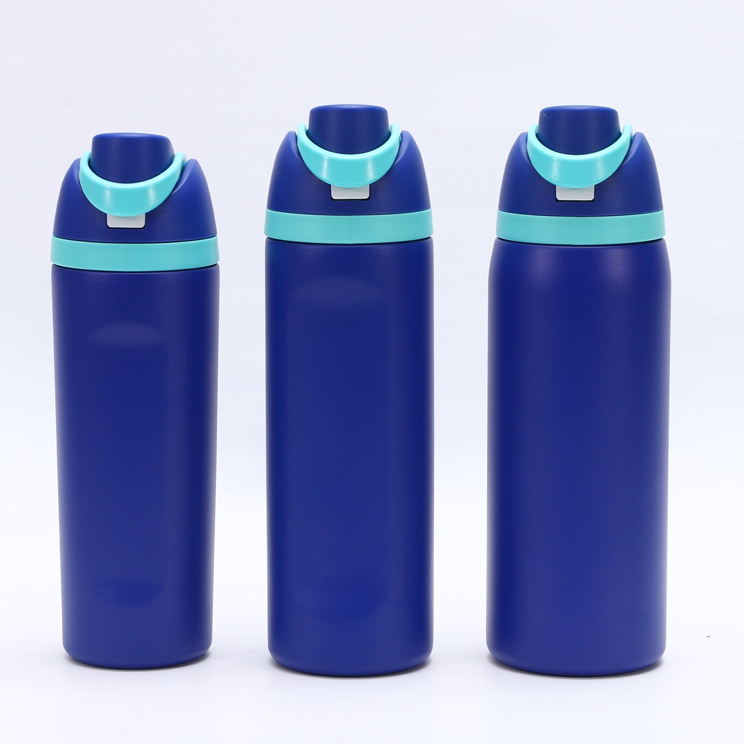 Insulated Water Bottle