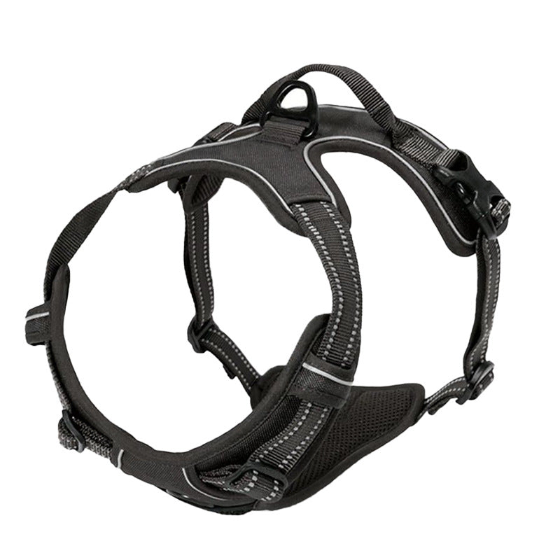 Pet Harness Leash