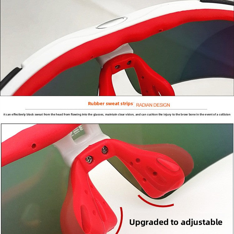 Polarized Sunglasses